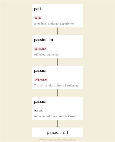etymology of the word passion
